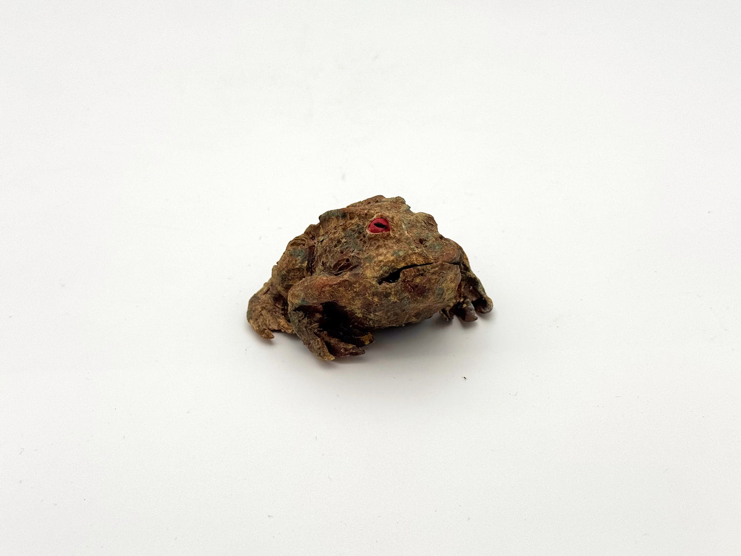 Frog — Mud (Small)