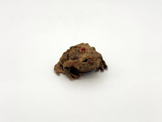 Frog — Mud (Small)