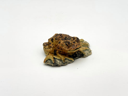 Frog — Marsh (Small)
